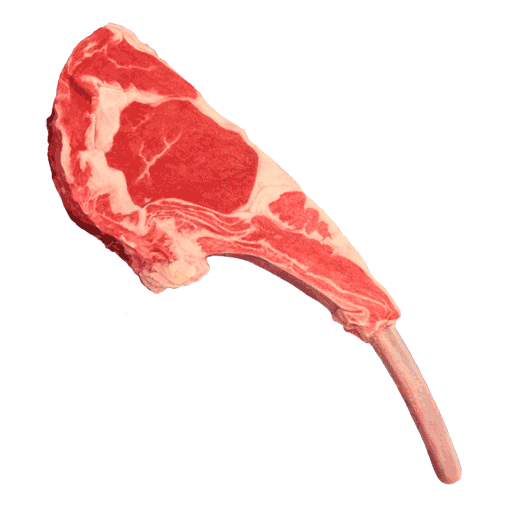 ISONERV | Lamb Chop painting | Love Meat